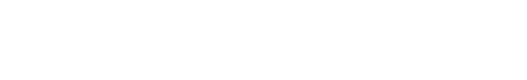 DDS MediaPro logo
